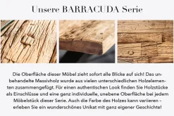 Massive Konsole BARRACUDA 120cm Teak mit Stahl Kufenfüßen inkl. Glasplatte